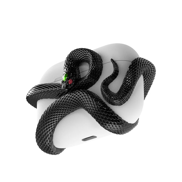 Winding Snake Airpods case